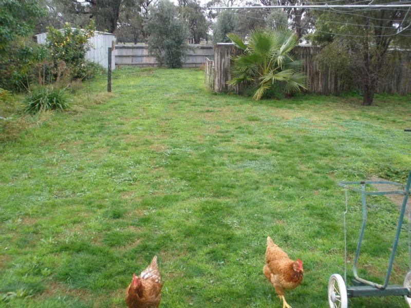 46 Dudley Street, Rochester VIC 3561