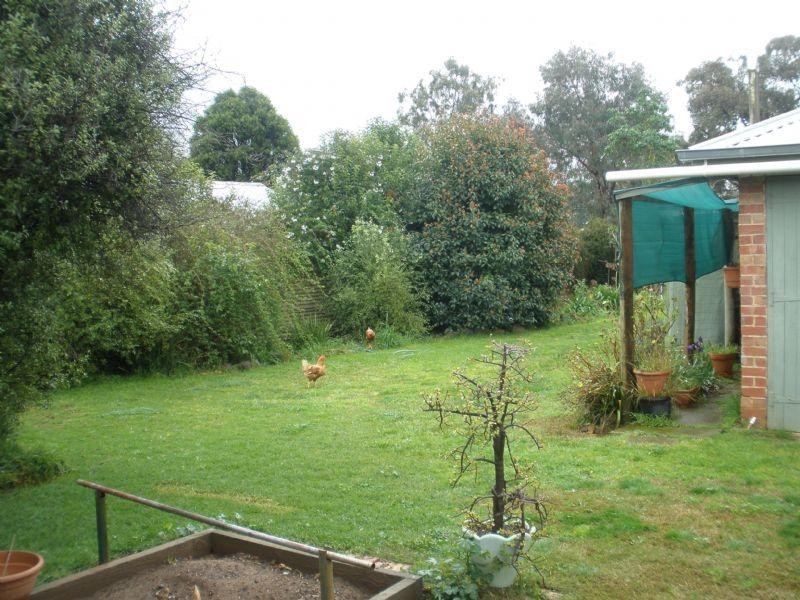 46 Dudley Street, Rochester VIC 3561