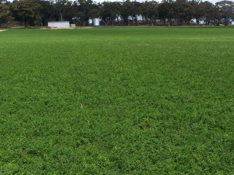 00 Kooreh Road, Carapooee VIC 3478