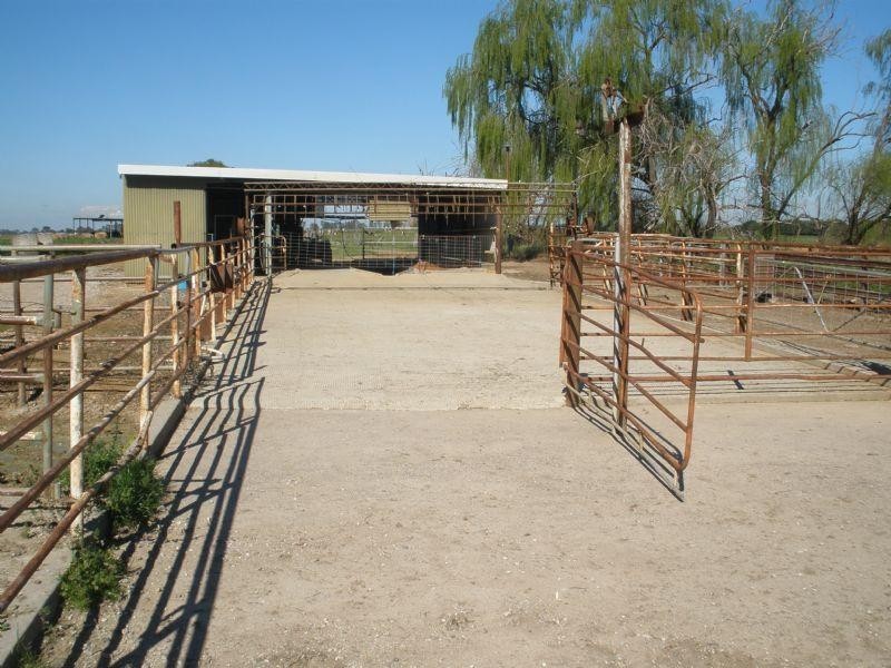 1695 Webb Road, Rochester VIC 3561