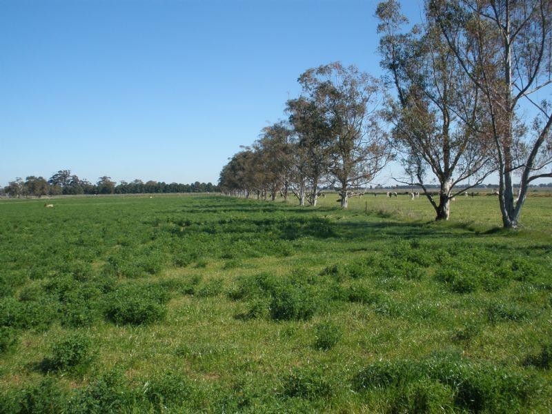 1695 Webb Road, Rochester VIC 3561