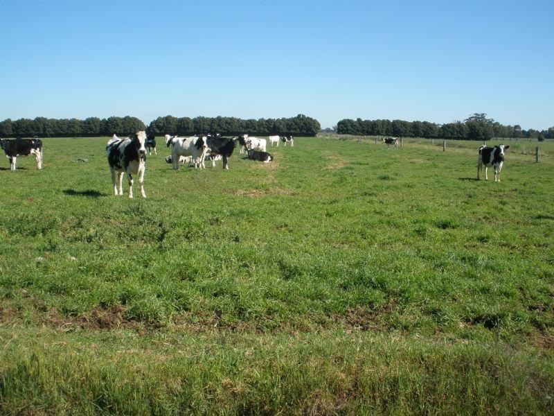 1695 Webb Road, Rochester VIC 3561