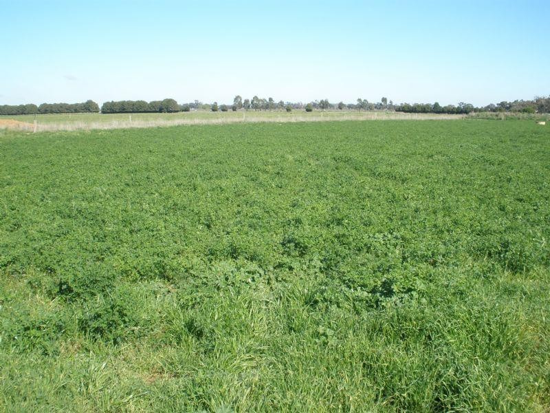 1695 Webb Road, Rochester VIC 3561