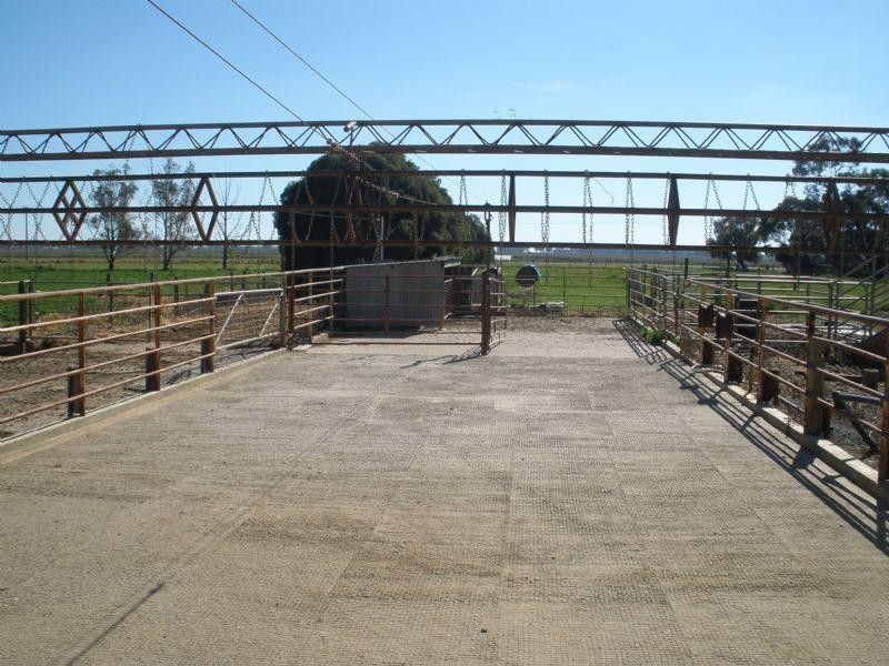 1695 Webb Road, Rochester VIC 3561