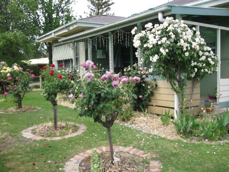 3881 Sunraysia Highway, Stuart Mill VIC 3478