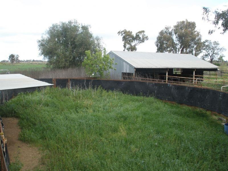 931 Prairie Road, Rochester VIC 3561