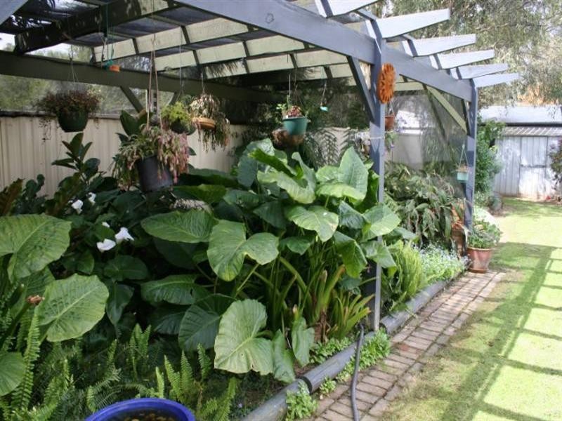 65 Victoria Street, Rochester VIC 3561