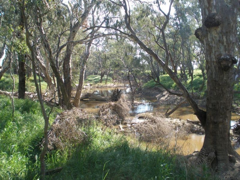 131 Brooks Road, Rochester VIC 3561