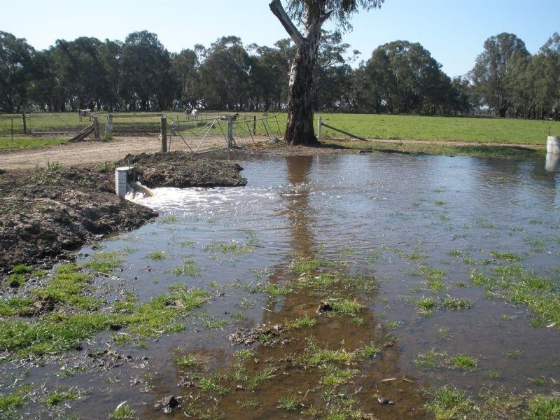 131 Brooks Road, Rochester VIC 3561