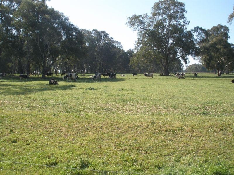 131 Brooks Road, Rochester VIC 3561