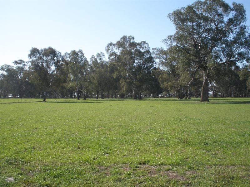 131 Brooks Road, Rochester VIC 3561