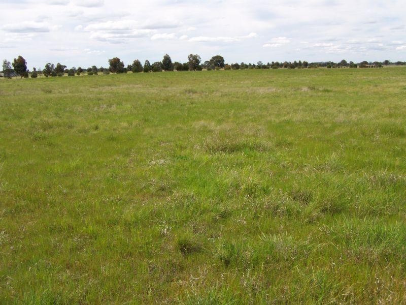 CA 35 Fitzpatricks Road, St Arnaud VIC 3478