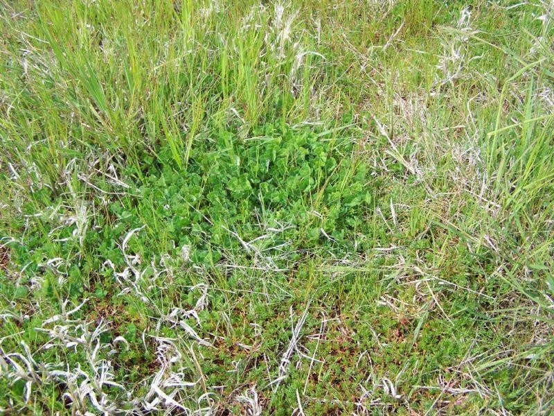 CA 35 Fitzpatricks Road, St Arnaud VIC 3478