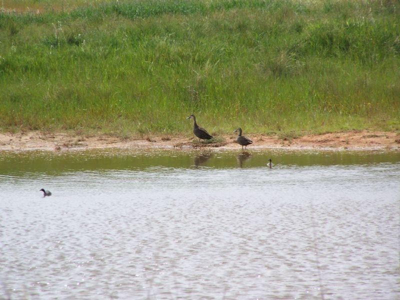 CA 35 Fitzpatricks Road, St Arnaud VIC 3478