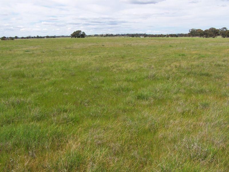 CA 35 Fitzpatricks Road, St Arnaud VIC 3478