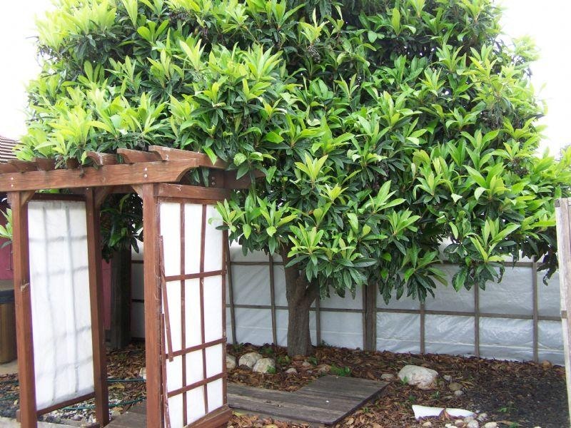 6 Butcher Street, St Arnaud VIC 3478