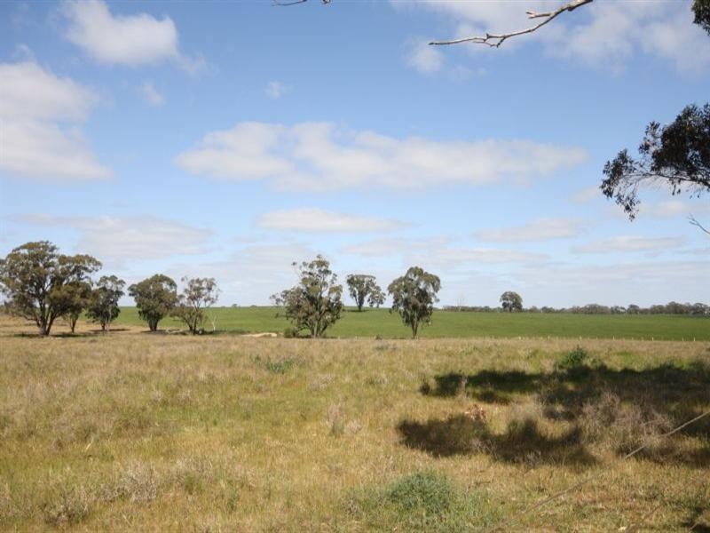 4595 Heatcote-Rochester Road, Rochester VIC 3561