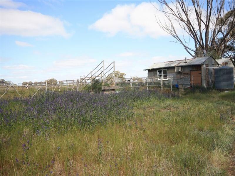 4595 Heatcote-Rochester Road, Rochester VIC 3561