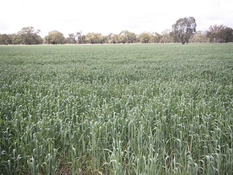 8206 Northern Highway, Echuca VIC 3564