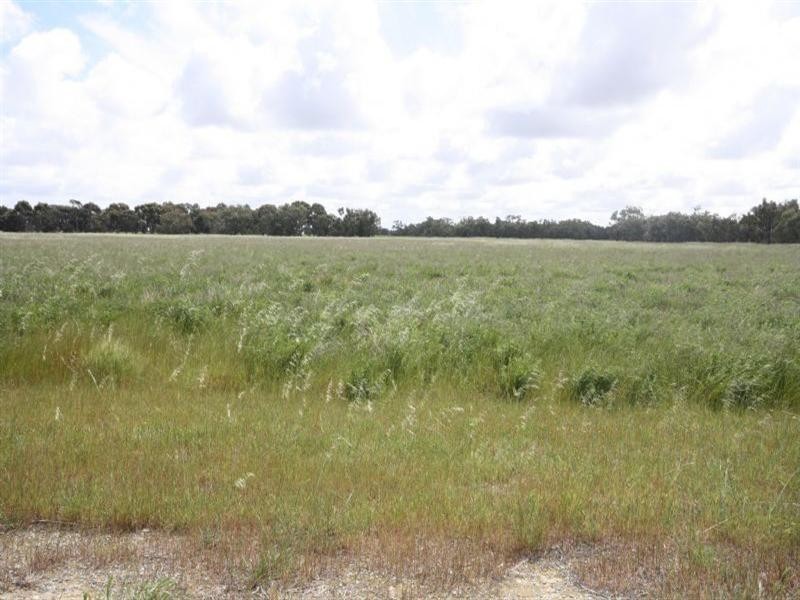 8206 Northern Highway, Echuca VIC 3564