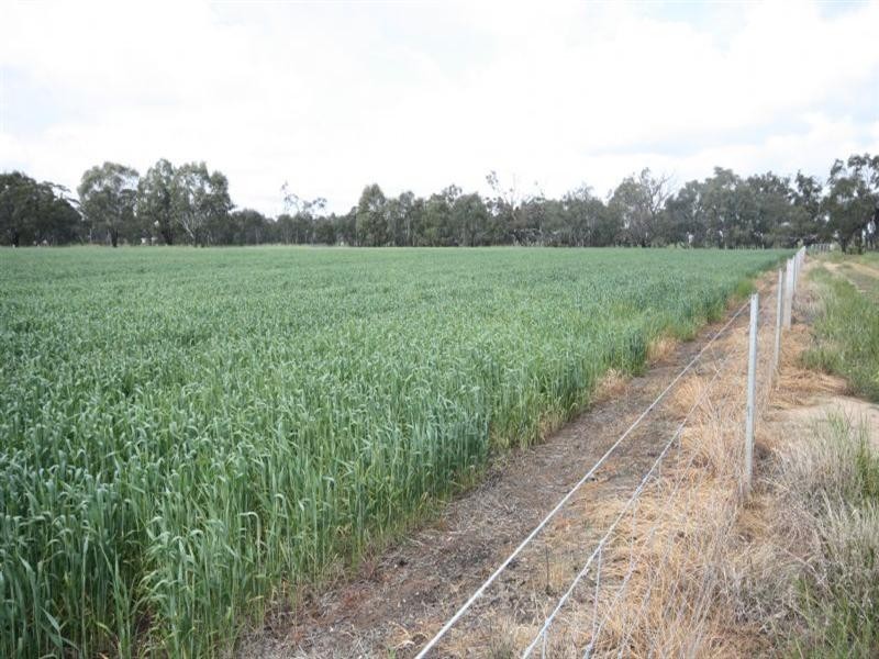 8206 Northern Highway, Echuca VIC 3564