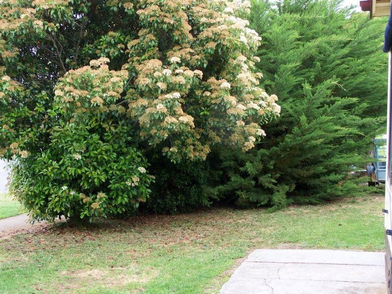 18 Navarre Road, St Arnaud VIC 3478