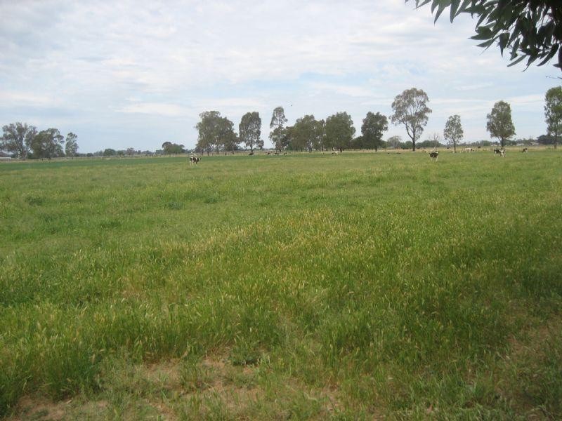 1589 Middleton Road, Lockington VIC 3563