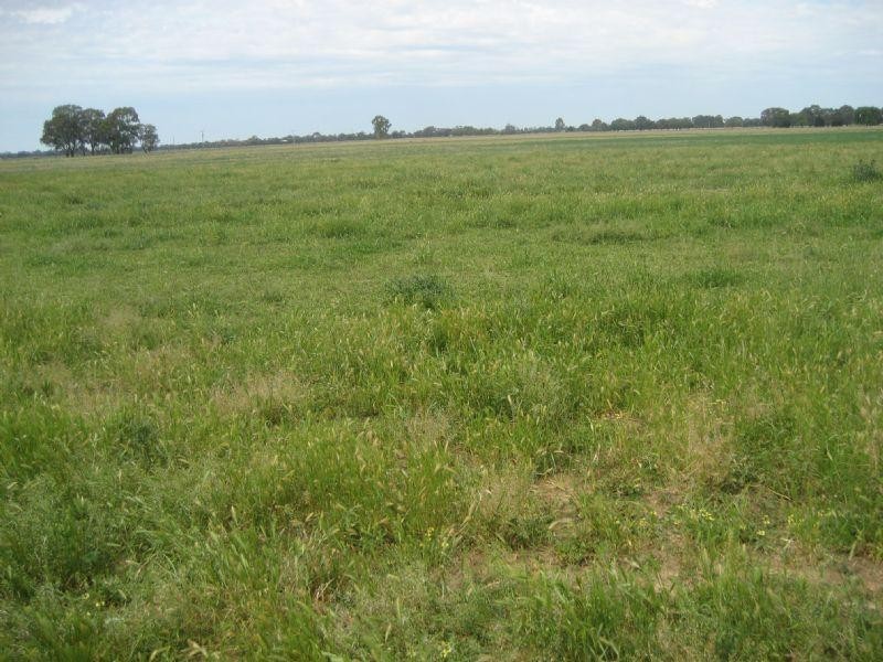 1589 Middleton Road, Lockington VIC 3563