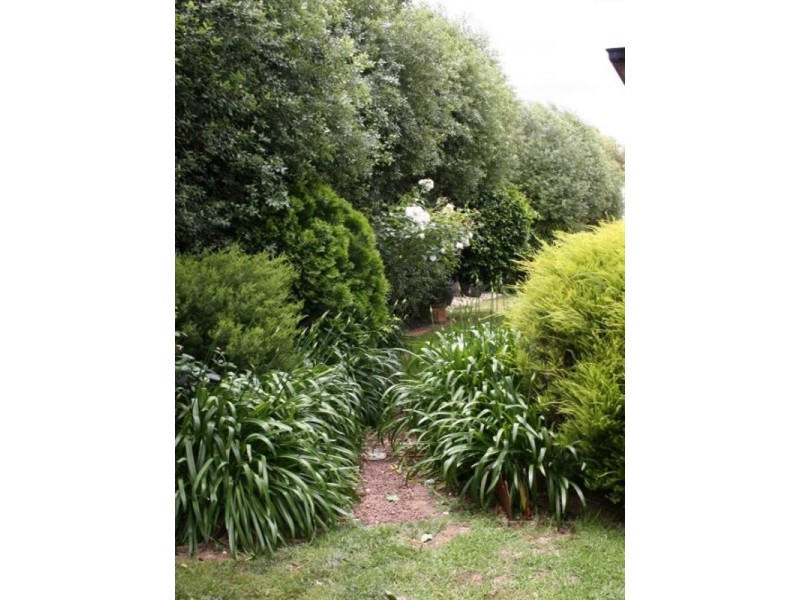 6 Baynes Street, Rochester VIC 3561