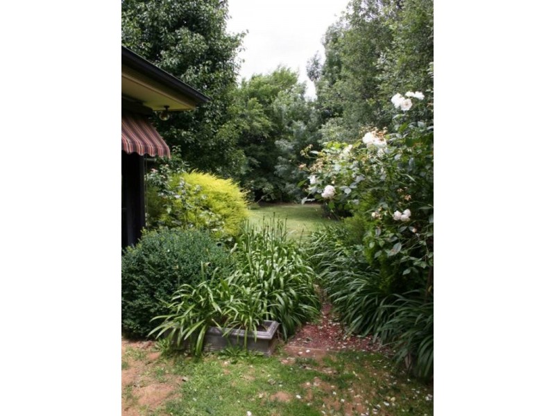 6 Baynes Street, Rochester VIC 3561