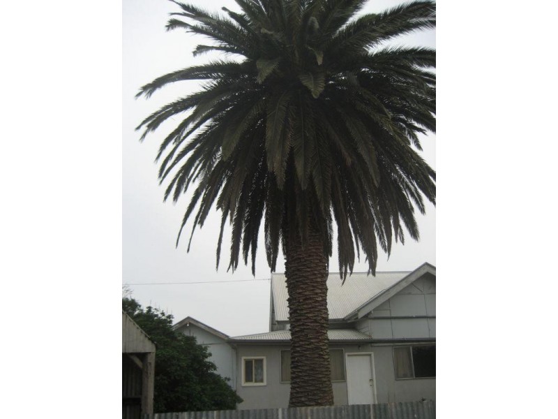 165 Randalls Road, Leitchville VIC 3567