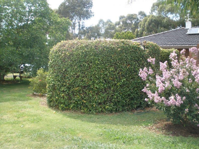 388 Railway Road, Rochester VIC 3561