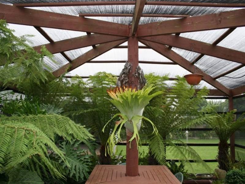 16 Northcote Street, Rochester VIC 3561