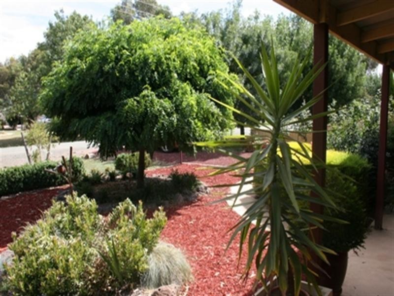 12 Doyle Street, Rochester VIC 3561