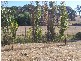 Lot 7 Pyrenees Highway, Amphitheatre VIC 3468