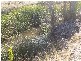 Lot 7 Pyrenees Highway, Amphitheatre VIC 3468