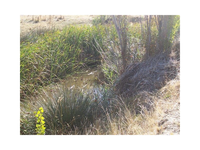 Lot 7 Pyrenees Highway, Amphitheatre VIC 3468