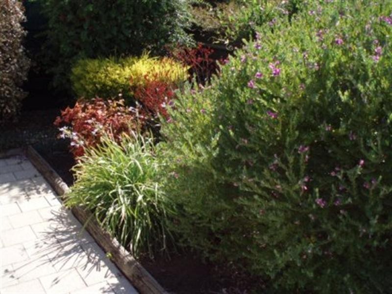 4/9 Fraser Street, Rochester VIC 3561