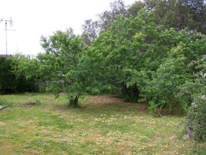 41 Silvermines Road, St Arnaud VIC 3478