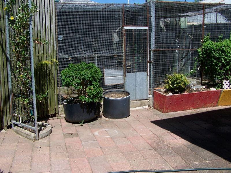 72 Canterbury Street, St Arnaud VIC 3478