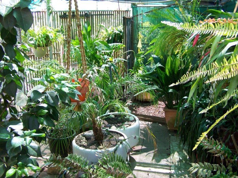 72 Canterbury Street, St Arnaud VIC 3478