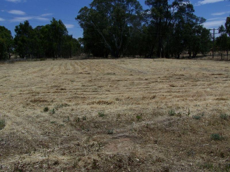 426 Calder Highway, Wedderburn VIC 3518