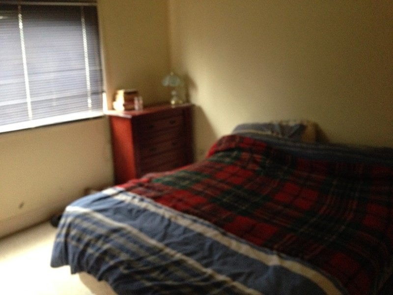 113 Hervey Street, Elmore VIC 3558