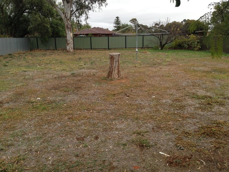 113 Hervey Street, Elmore VIC 3558