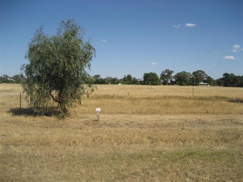 148 Hervey Street, Elmore VIC 3558