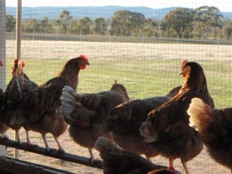 00 Bolangum Inn Road, Navarre VIC 3384