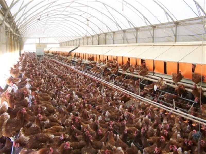 00 Bolangum Inn Road, Navarre VIC 3384