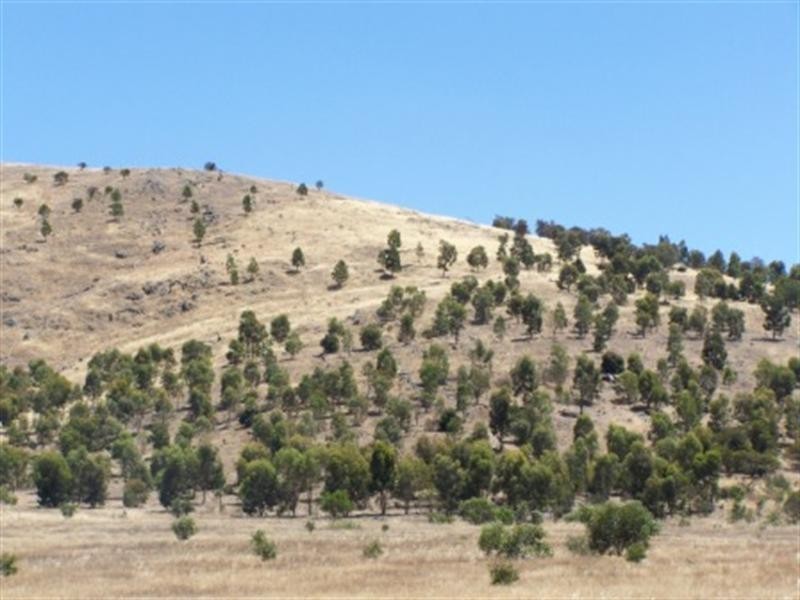 00 Bolangum Inn Road, Navarre VIC 3384