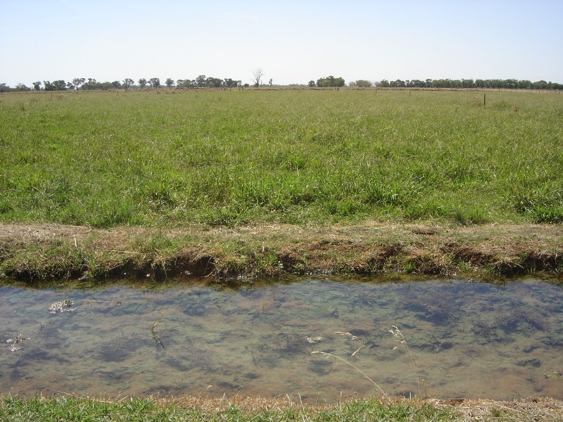 138 Morton Road, Rochester VIC 3561