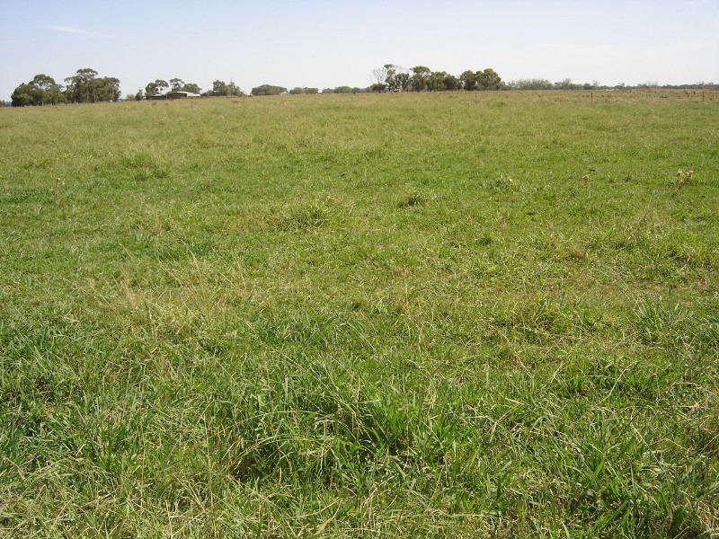 138 Morton Road, Rochester VIC 3561